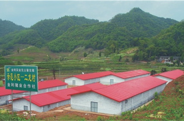 養殖公司實景